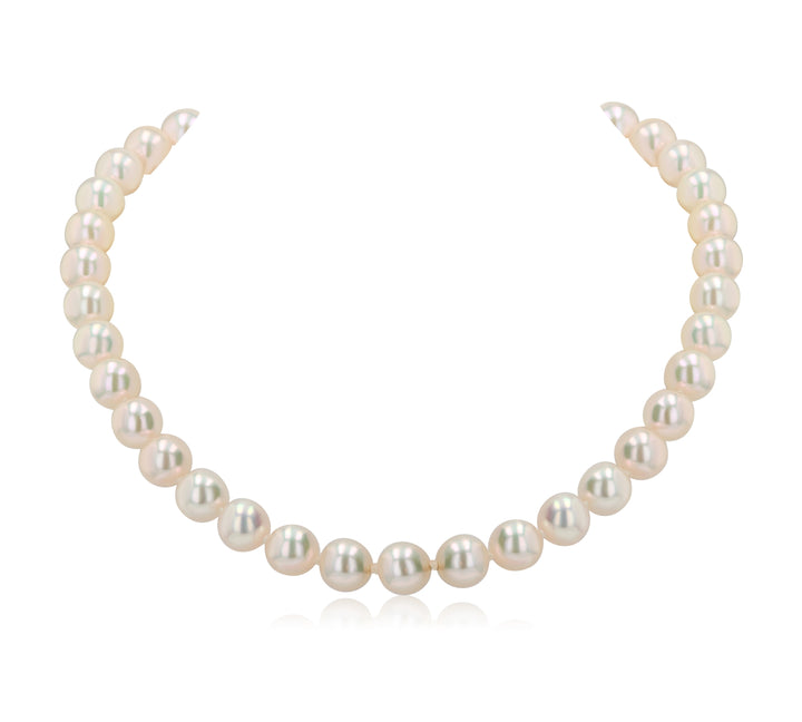 18" Akoya Pearl Necklace 7.5–8mm with 14K Yellow Gold Clasp