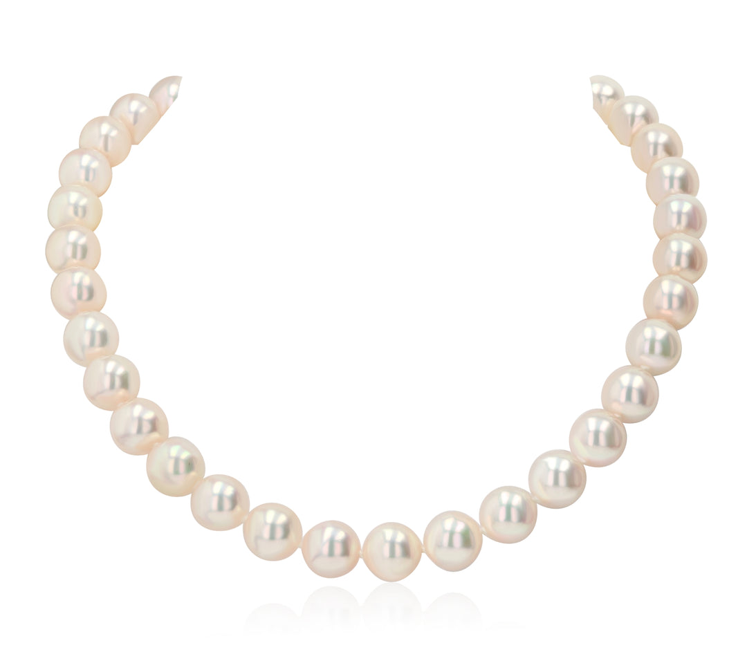 18" Akoya Pearl Necklace 8–8.5mm with 14KW Clasp