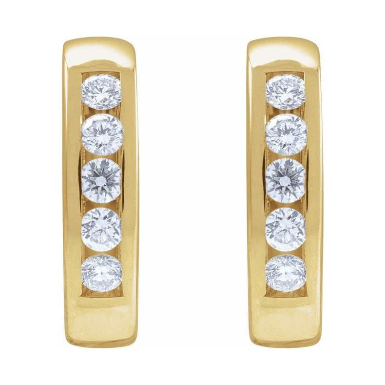Hinged Hoop Earrings