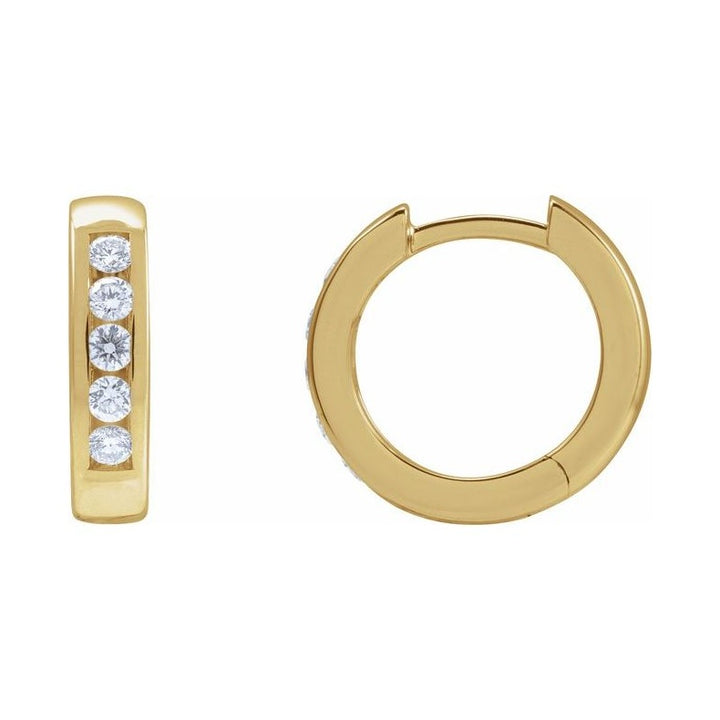 Hinged Hoop Earrings