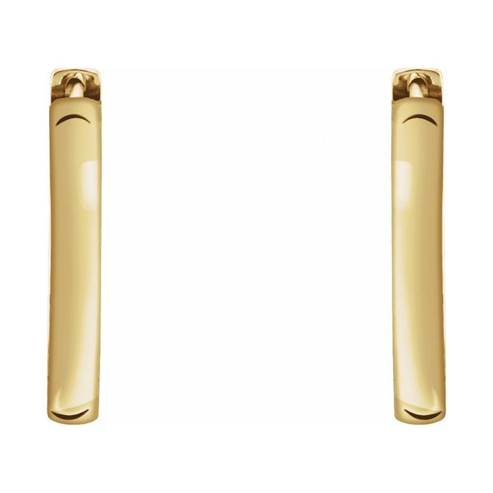 Hinged Hoop Earrings