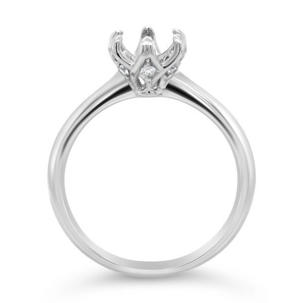 Aurora Collection Platinum By-Pass Style Engagement Mounting